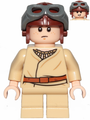 sw1001